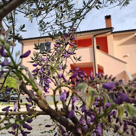 Apartman Tramonto Motovun Exterior photo