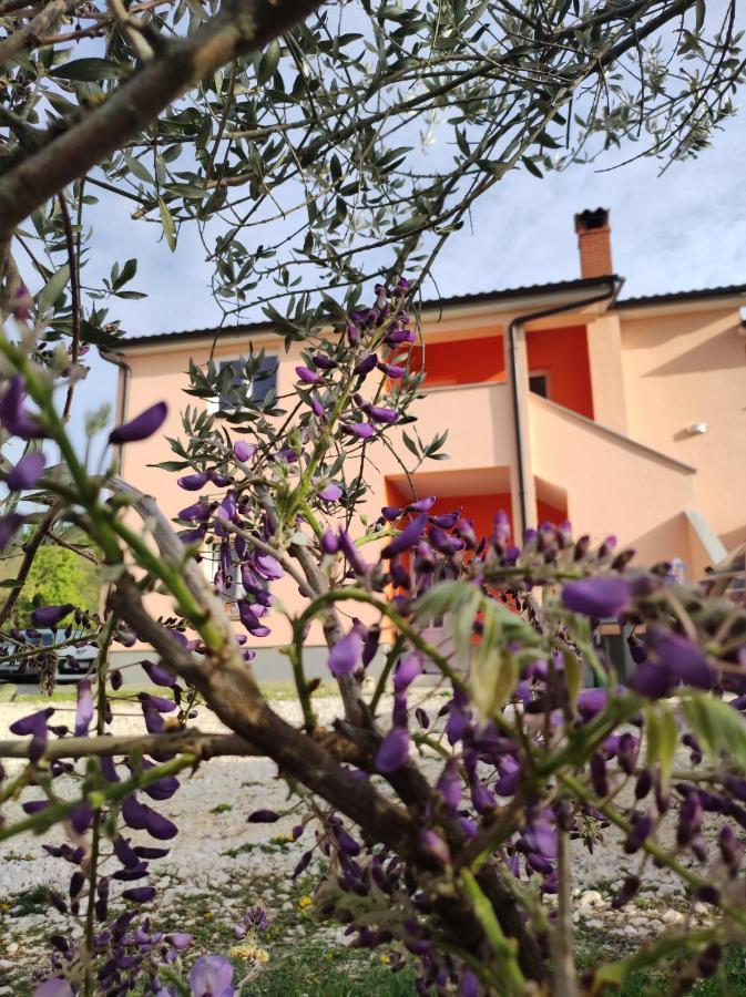 Apartman Tramonto Motovun Exterior photo
