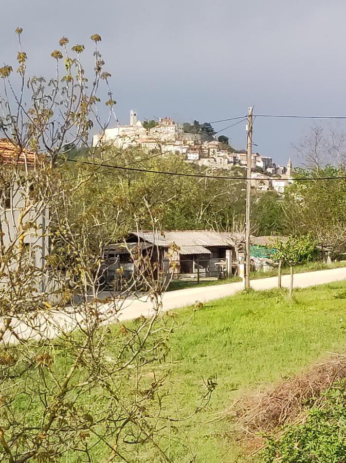 Apartman Tramonto Motovun Exterior photo